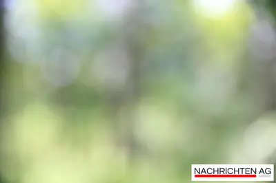 Grünes Wunder: Wie Hochbeete Gärtnerträume wahr werden lassen!