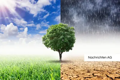 Zukunftsgerüst: So investieren Bremer clever in nachhaltige Projekte!