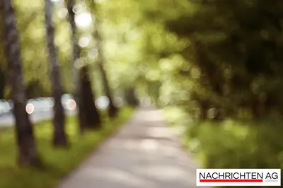 Entdecken Sie die besten Freizeit-Tipps im Elbe-Weser-Raum!