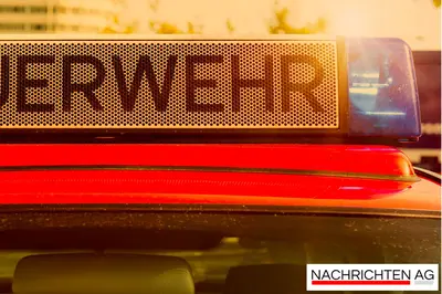 Waldbrand im Nationalpark Eifel: Feuerwehr kämpft gegen Flammen!