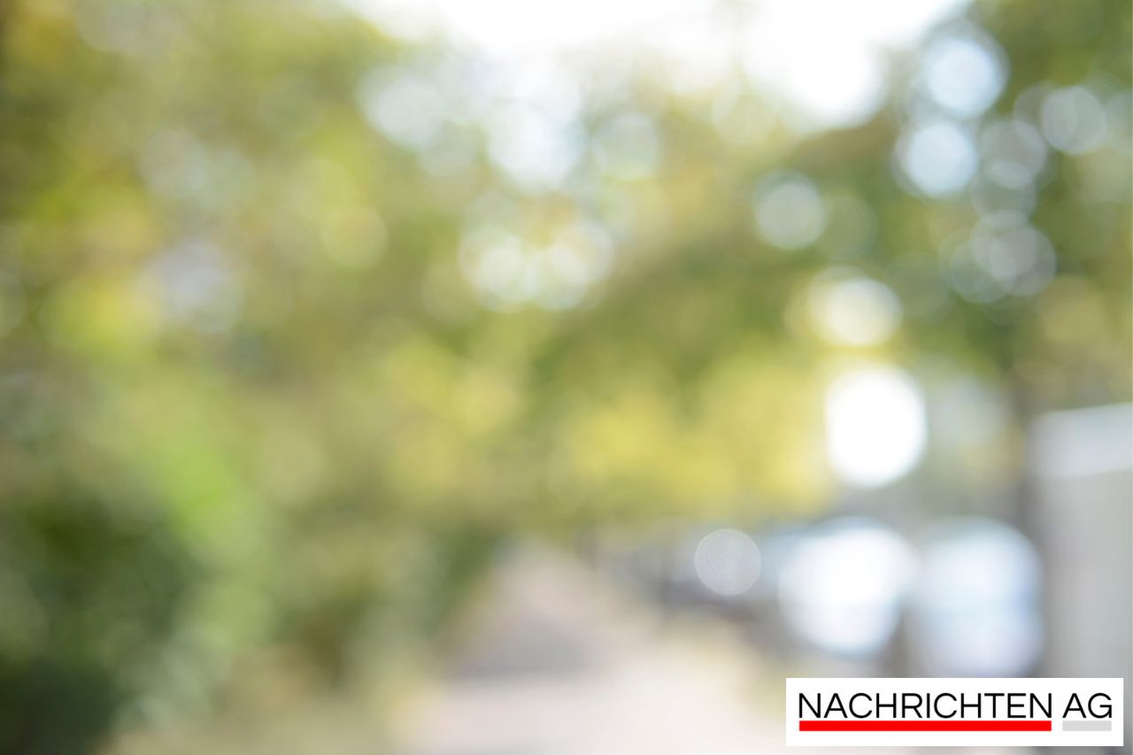 Rettung für Bremer Use Akschen: Künstlerhaus blickt optimistisch voraus!